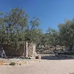 Hébergement de vacances Pajara Chicca *