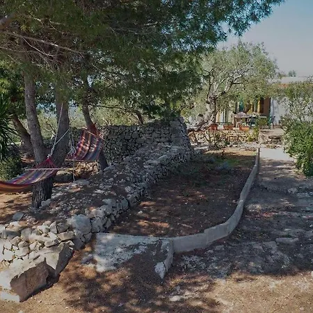 Pajara Chicca *